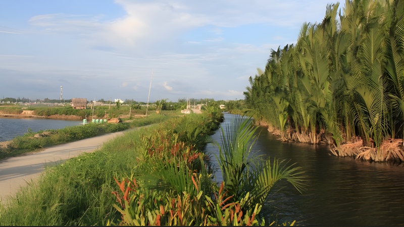 Tour chào buổi sáng Hội An (7)